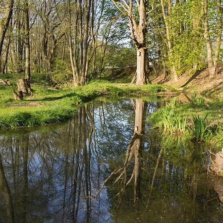 Lovely In * Брилон